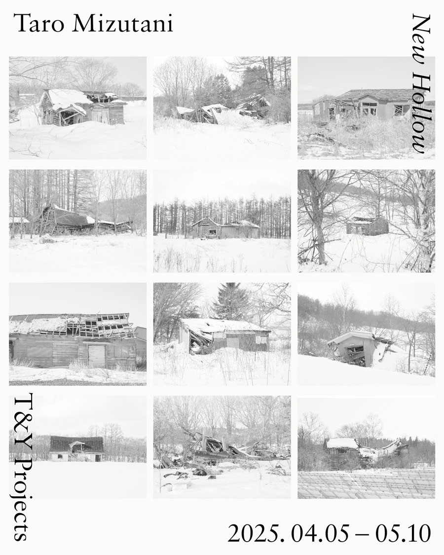 Taro Mizutani Photo Exhibition New Hollow | Silver Magazine