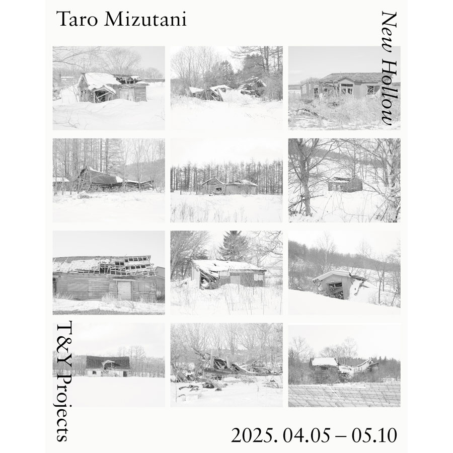 Taro Mizutani Photo Exhibition New Hollow | Silver Magazine